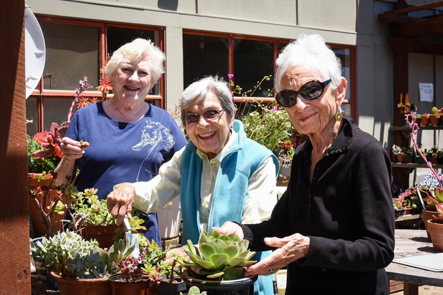 ladies cultivating succulents at senior home