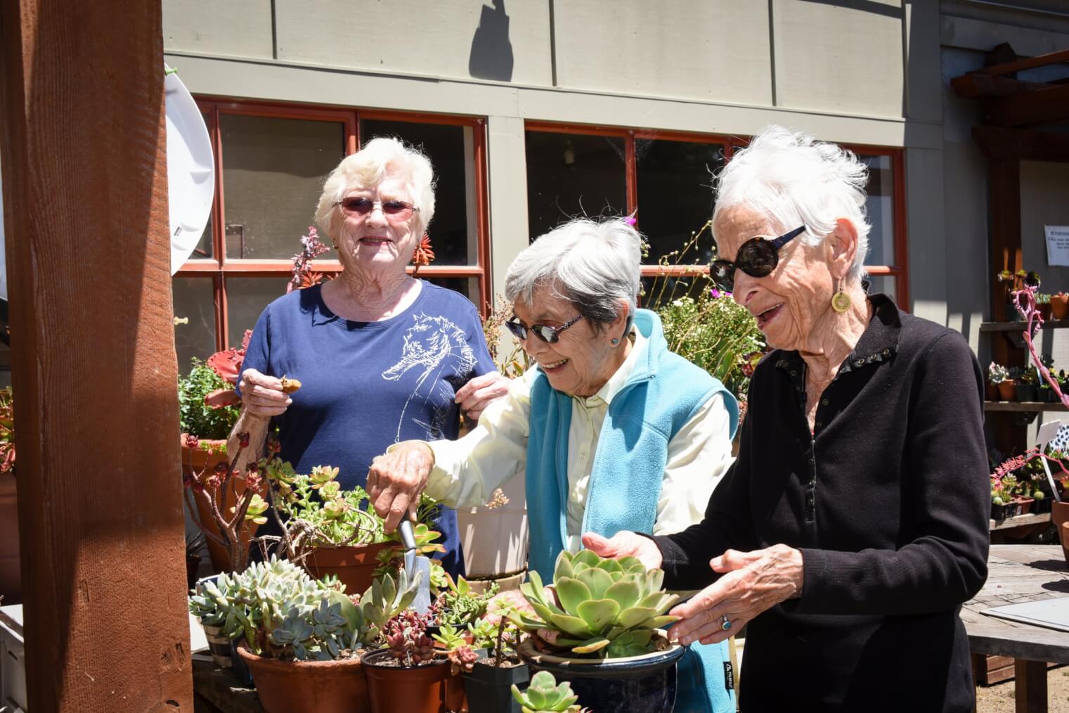 senior ladies cultivating succulents